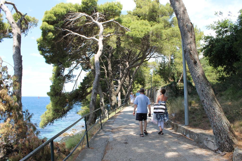 Insula Lägenhet Cavtat